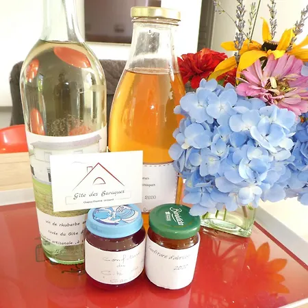 Confort Avec Jardin, A 15 Min D'epinal, Ideale Pour Familles Et Randonneurs - Fr-1-589-372 *